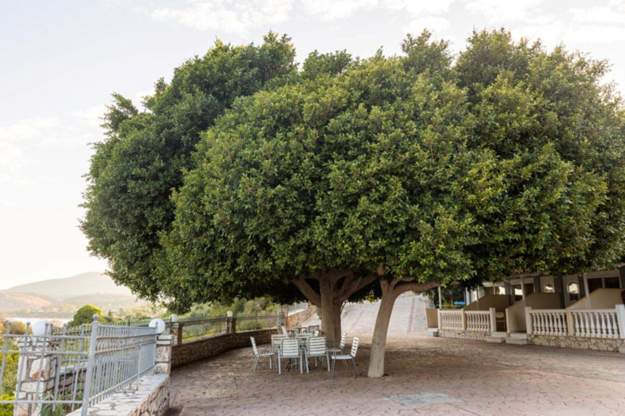Pansion Koroni L'Antic Hotel Exterior photo